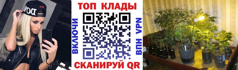 Все наркотики Омутнинск Марихуана  Псилоцибиновые грибы  Меф мяу мяу  A-PVP 