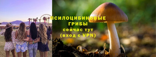 трава Дмитров