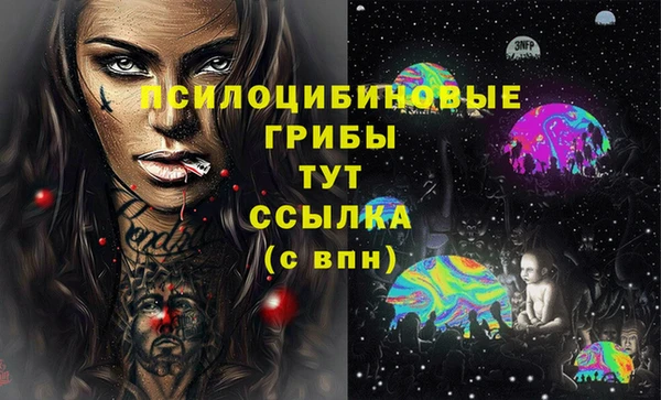 a pvp Дмитровск