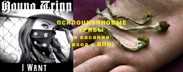 метадон Дмитриев