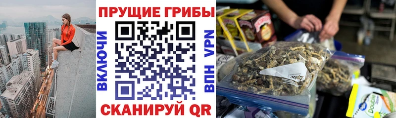 Псилоцибиновые грибы мухоморы  Омутнинск 